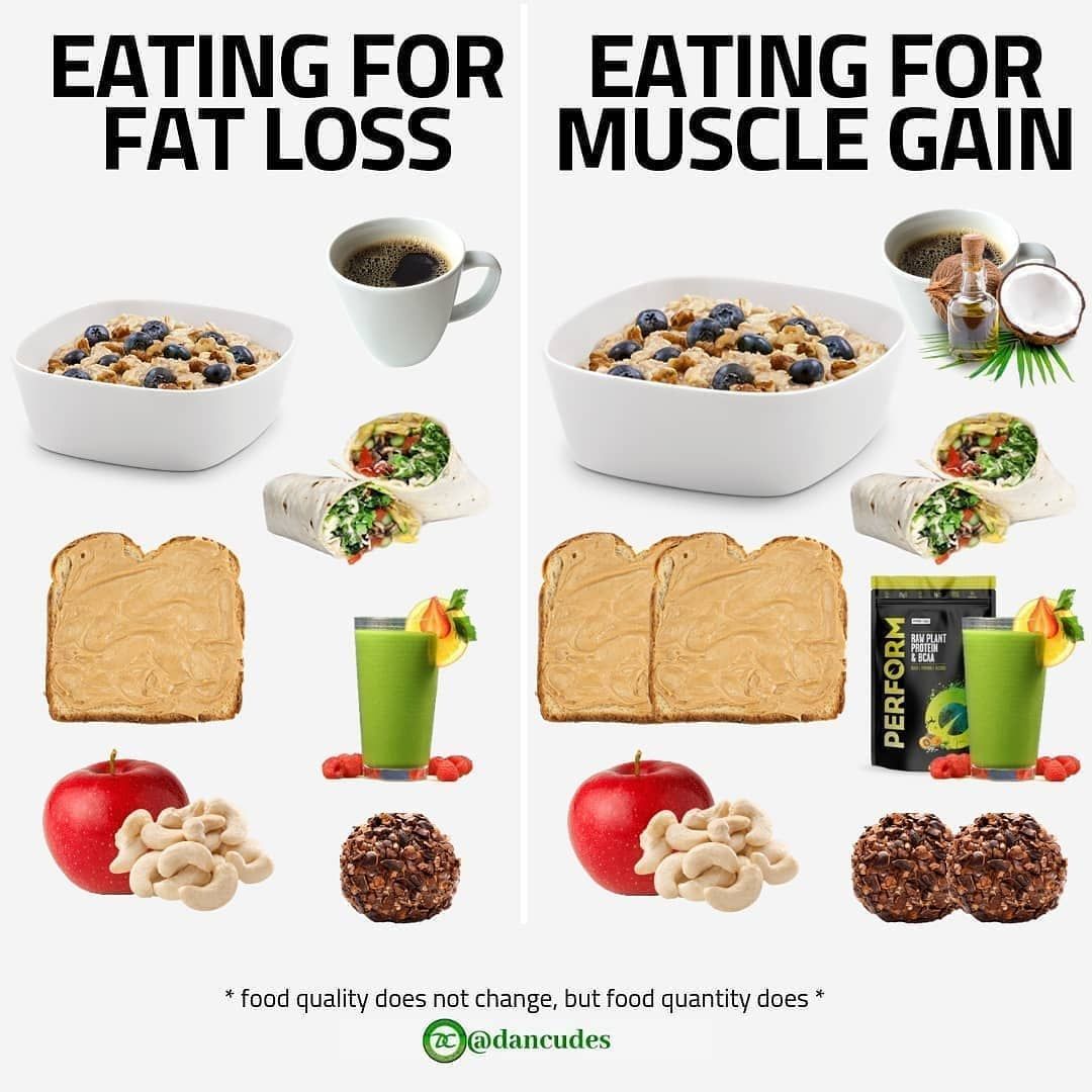 10 5'6 Male Fitness Tips To Gain Muscle