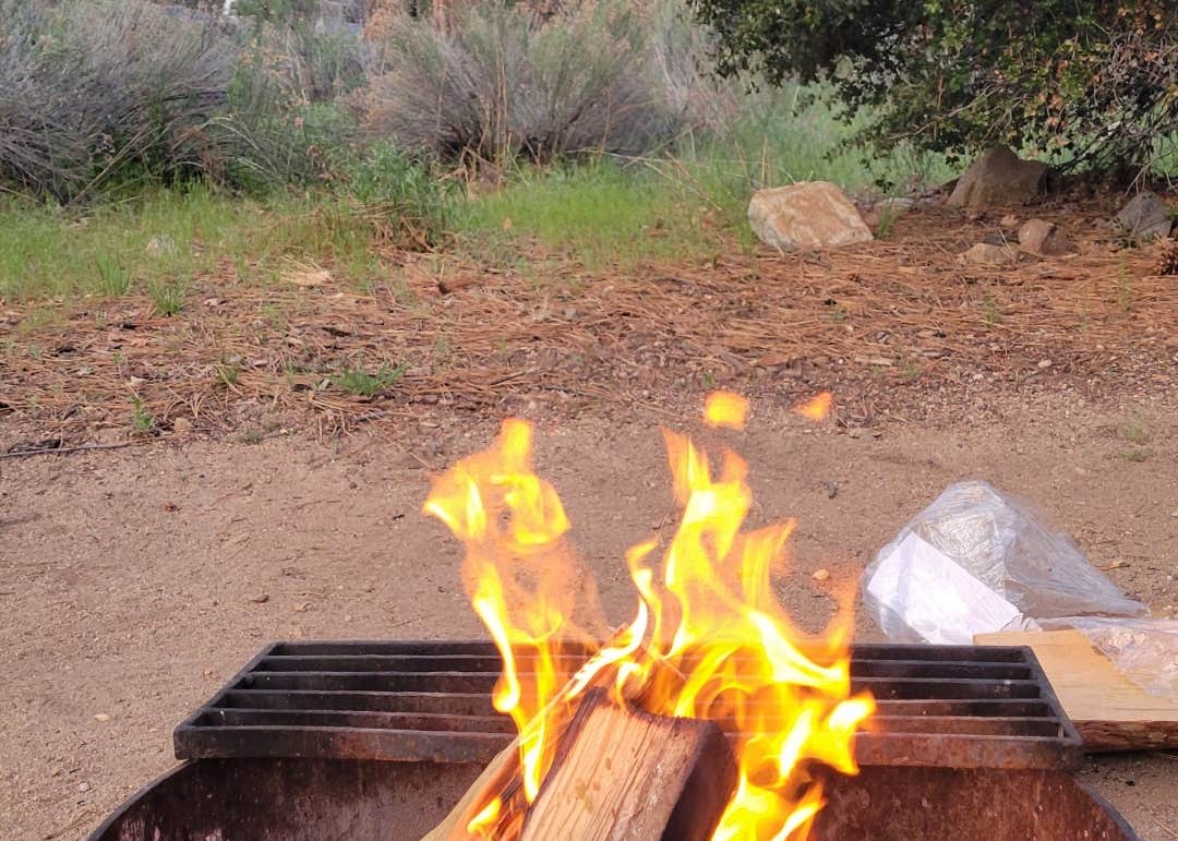 10+ Barton Flats San Bernardino Tips For Easy Camping