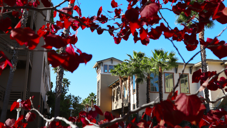 10 Chapman Housing Rates Tricks To Save Money