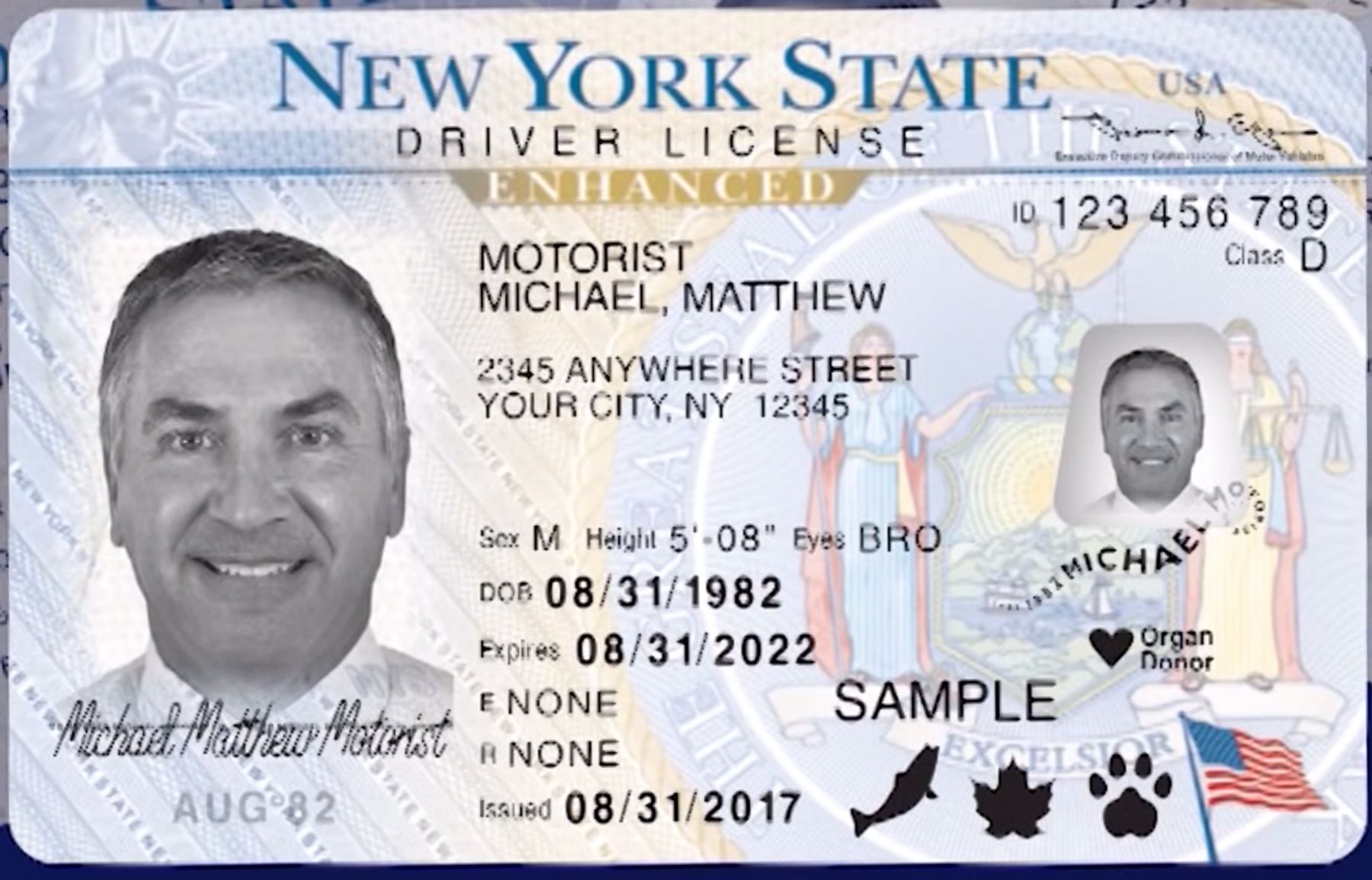 10+ Dmv Secrets To Renew Your License Quickly