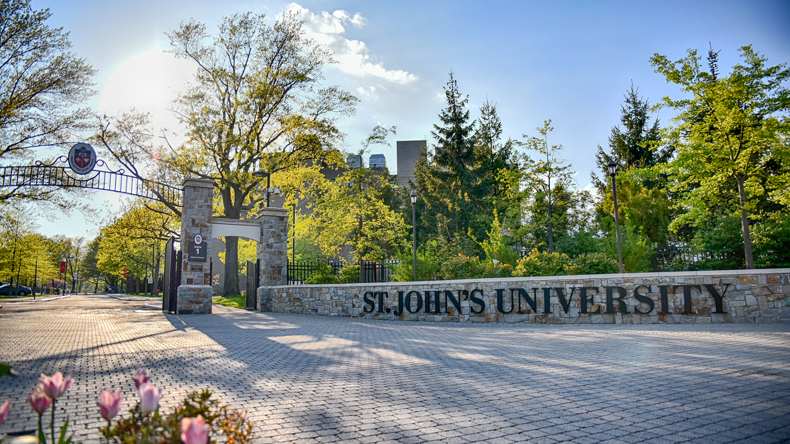 10+ St John's Tuition Tips For Financial Freedom