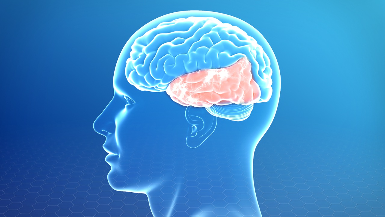 10 Thyroid Lobe Facts For Better Health