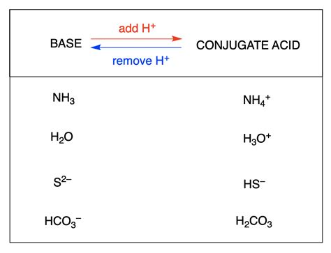 12+ Ammonia Conjugate Base Secrets For Chemistry Mastery