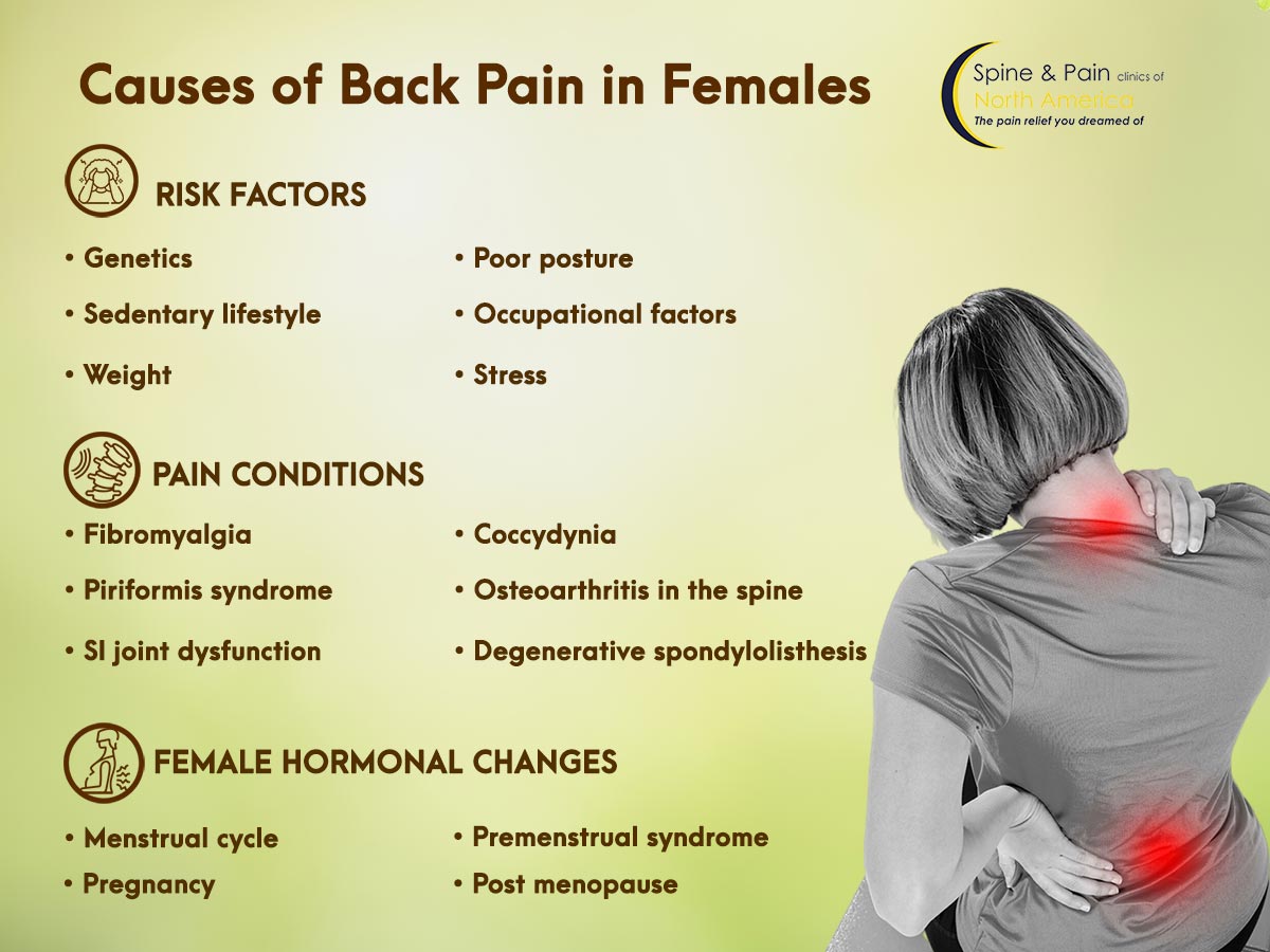 12+ Causes Of Left Lower Back Pain Identified