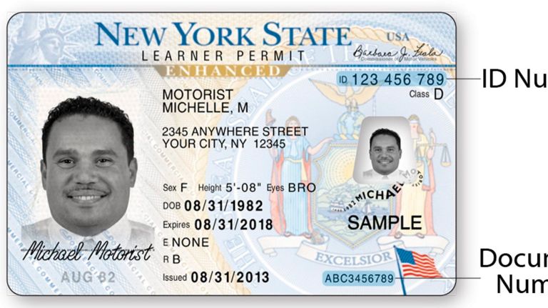 12+ Dmv Secrets For A Faster License Application