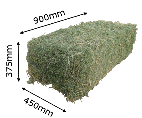 12 Hay Bale Dimensions For Easy Storage