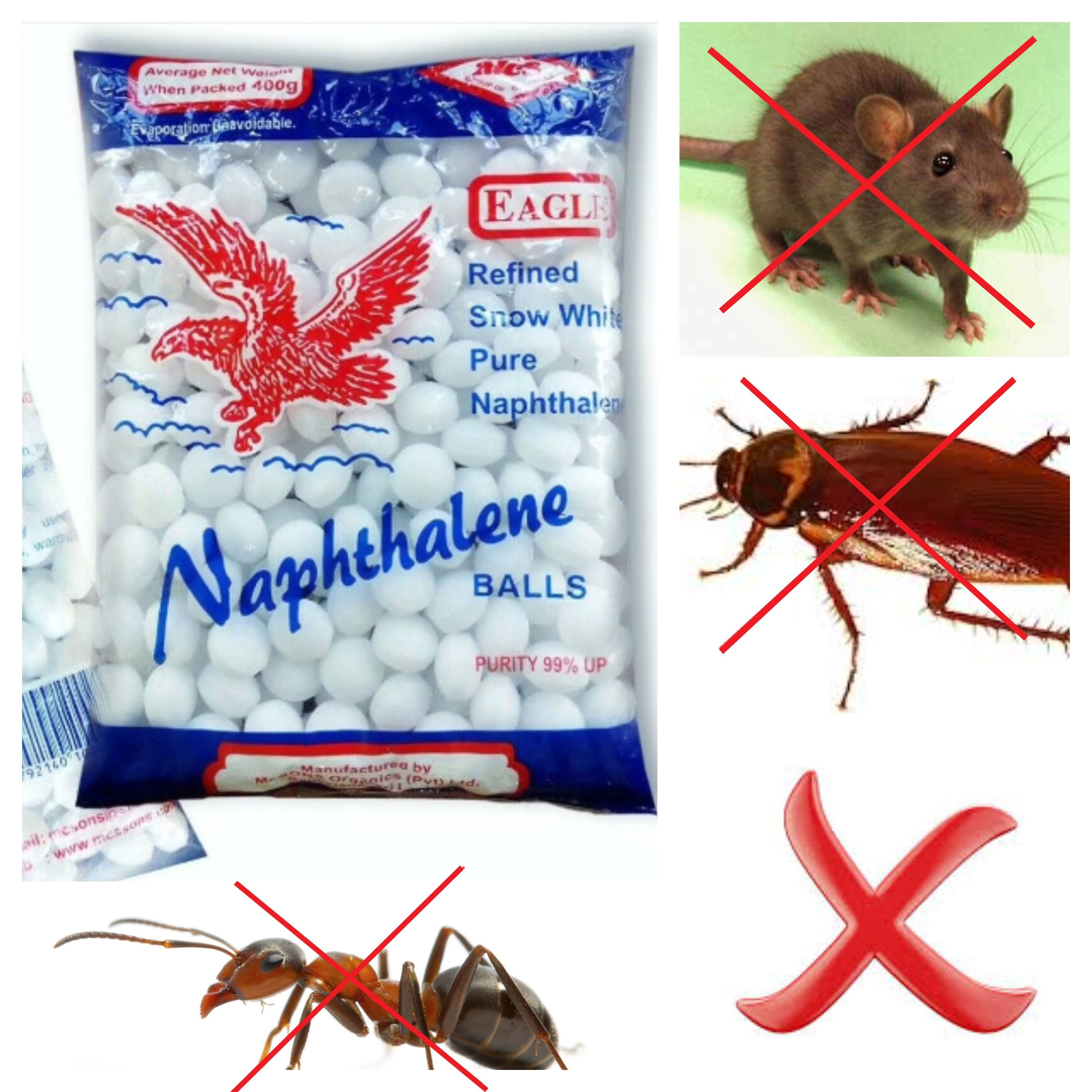 12 Moth Balls Snakes Repellent Methods