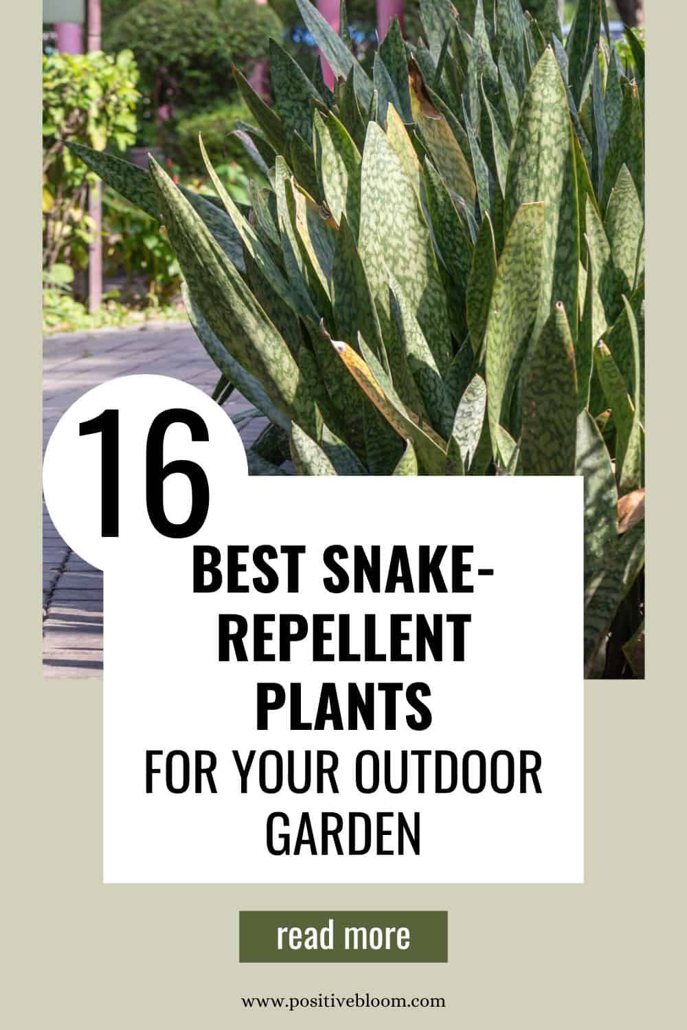 12 Snake Repellent Tricks For Safe Home