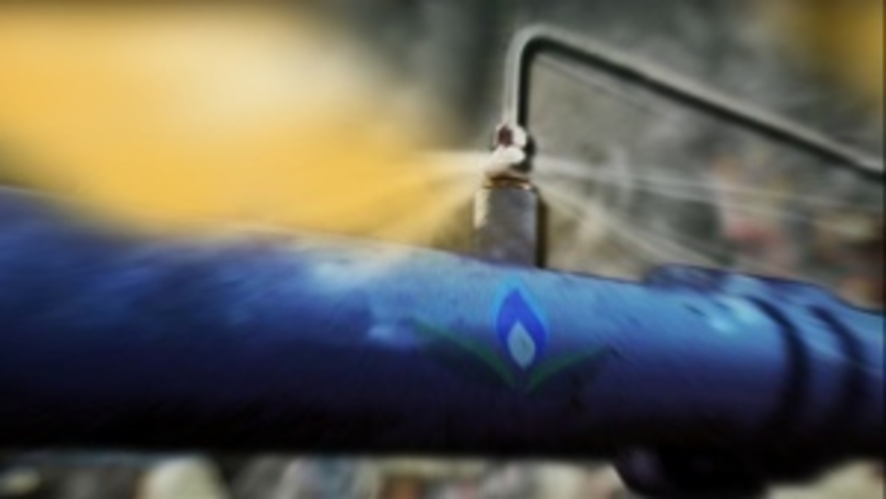 13 Onlycamping Leaks You Need To Know