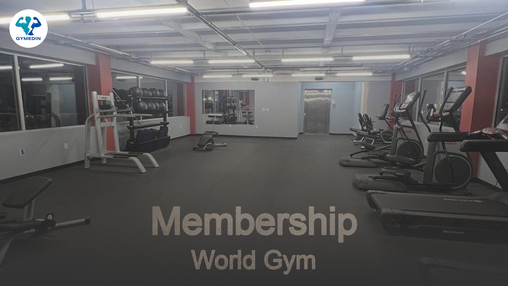 6 Dirt Cheap Gyms With Student Discounts Amp Free Passes 6 Dirt Cheap Gyms With Student Discounts Amp Free Passes