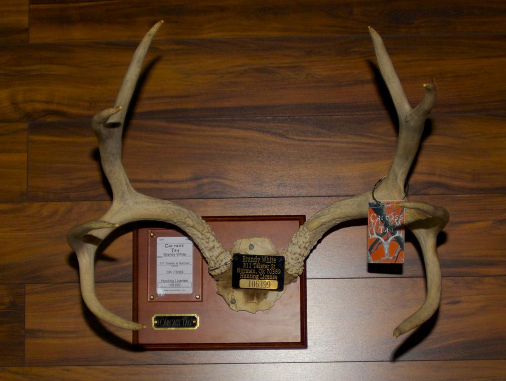 7 Deer Tag Secrets For Georgia Hunters