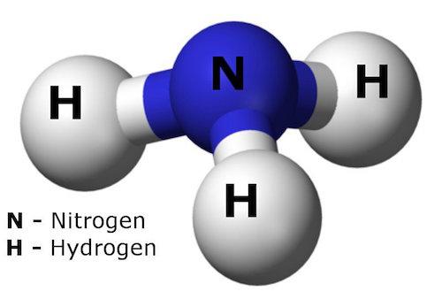 8 Conjugate Base Of Ammonia Facts For Better Understanding