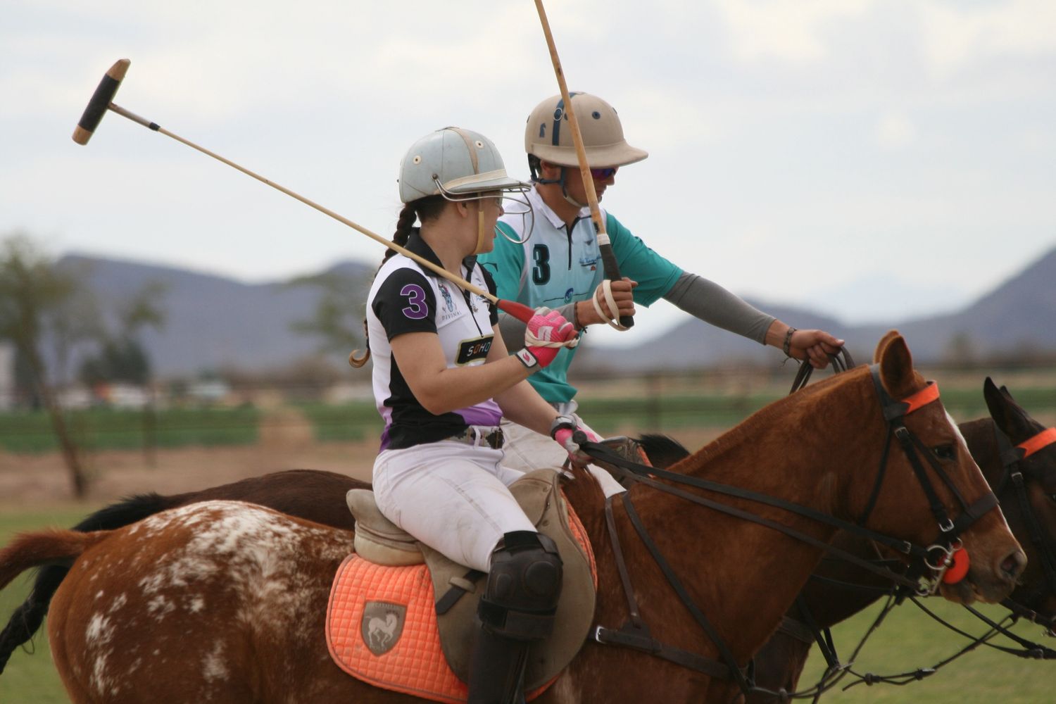 Arizona Polo Club