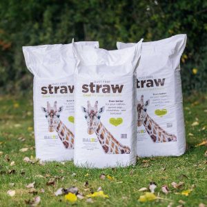 Baled Straw Bales For Sale Baled Baled Straw Bales For Sale Baled