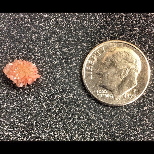 Bladder Stone Cat Food