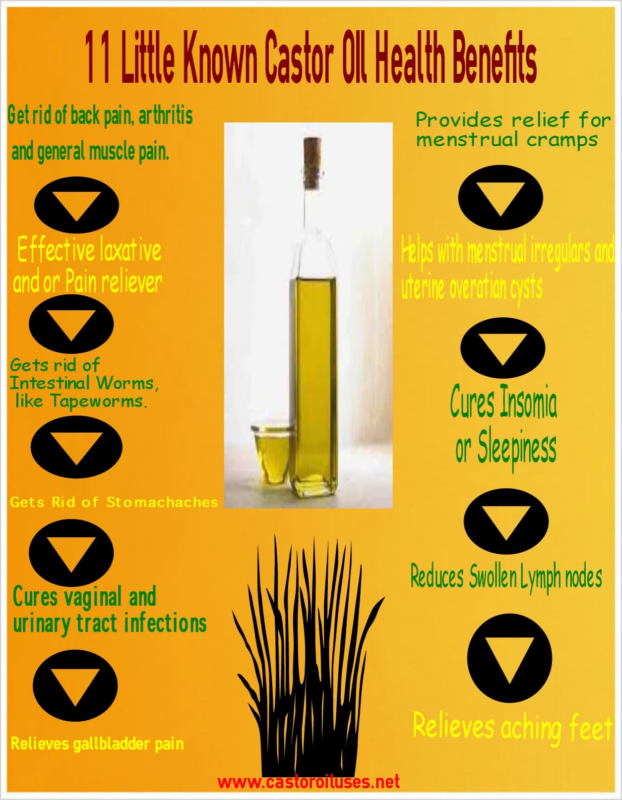 Castor Oil Back Pain Relief Castor Oil Back Pain Relief