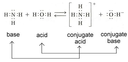 Conjugate Base Of Ammonia