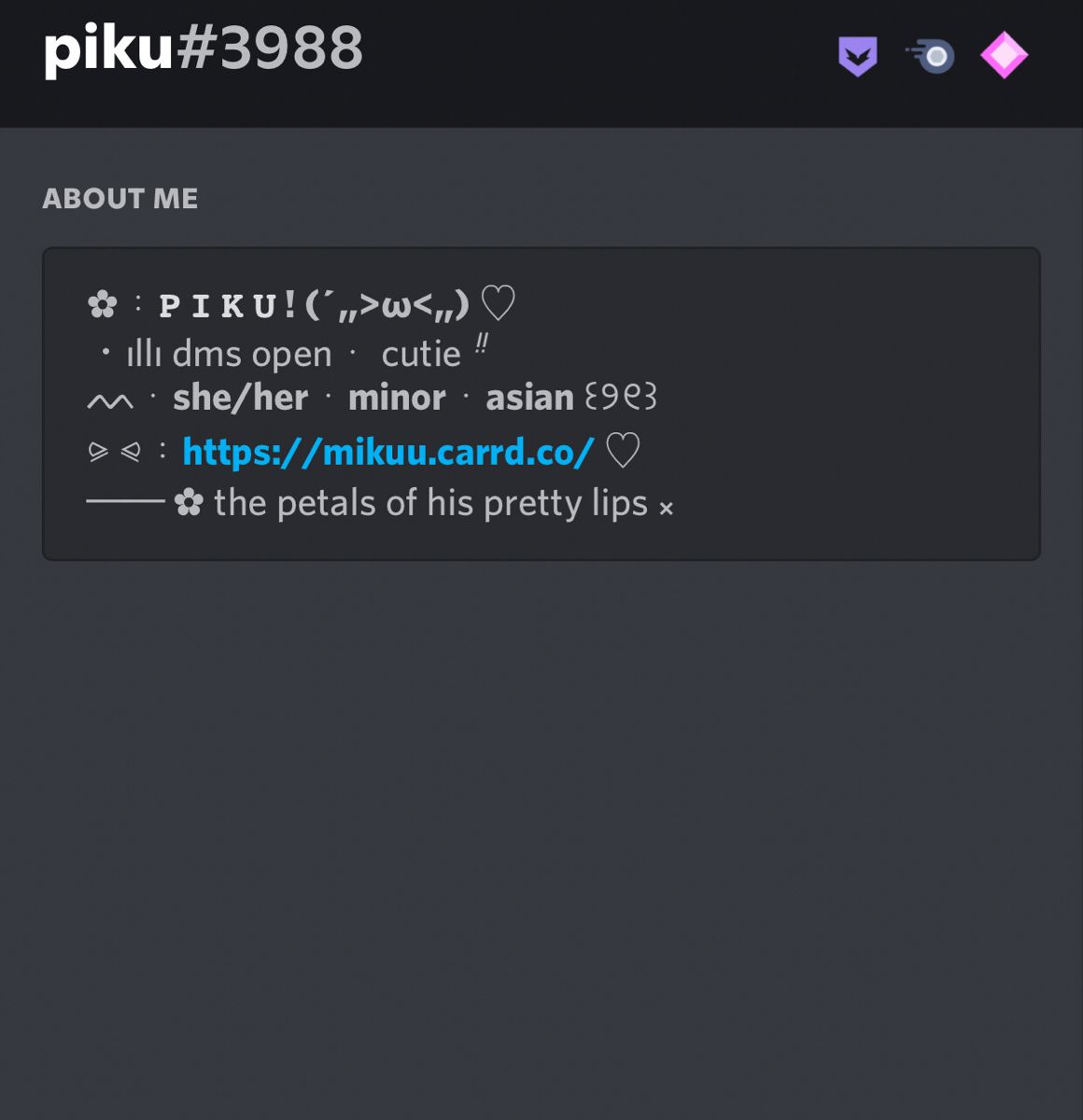 Cute Discord Bio