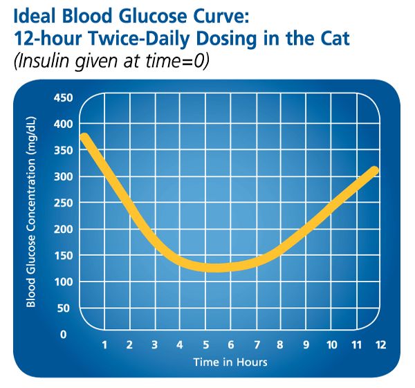 Diabetic Cat Glucose Range