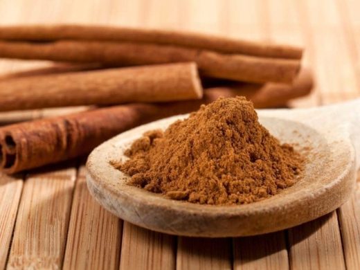 Does Cinnamon Repel Snakes