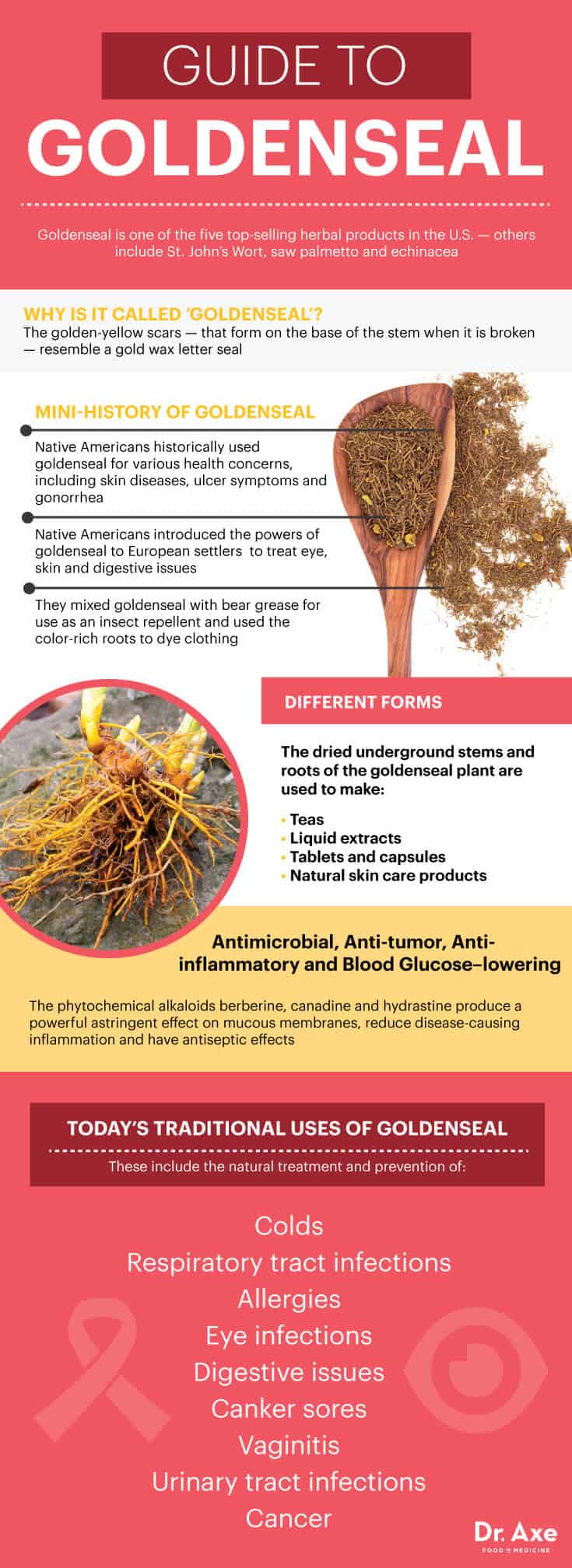 Echinacea And Goldenseal: Fights Infections