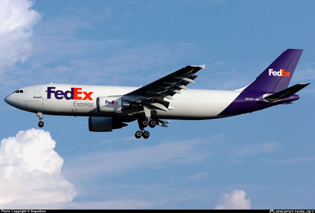 Fedex 800 Number Fedex 800 Number
