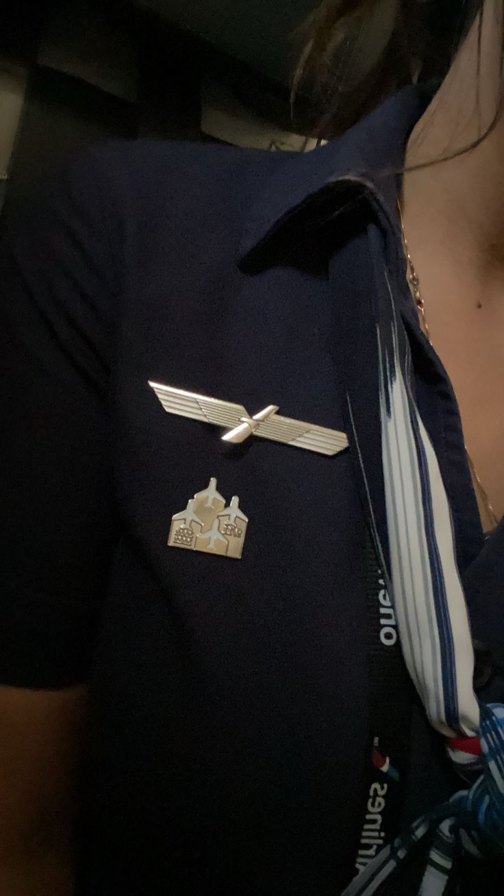 Flight Attendant Wings