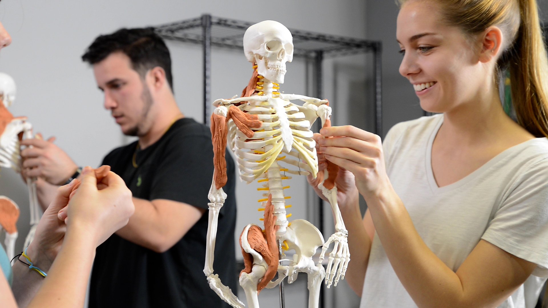How Do I Become A Massage Therapist In Georgia Get You Massage Therapy License Near Athens Ga Oconee School Of Therapeutic Massage