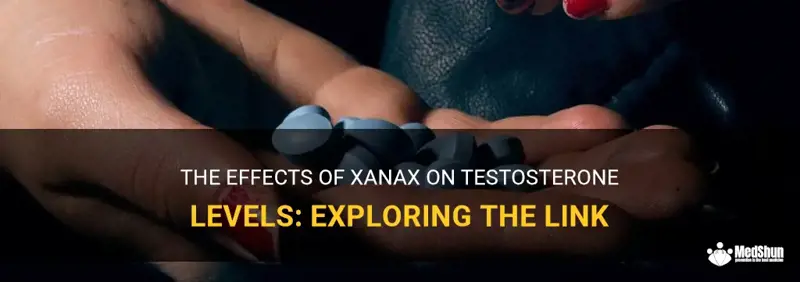 How Does Xanax Affect Memory? Get Answers