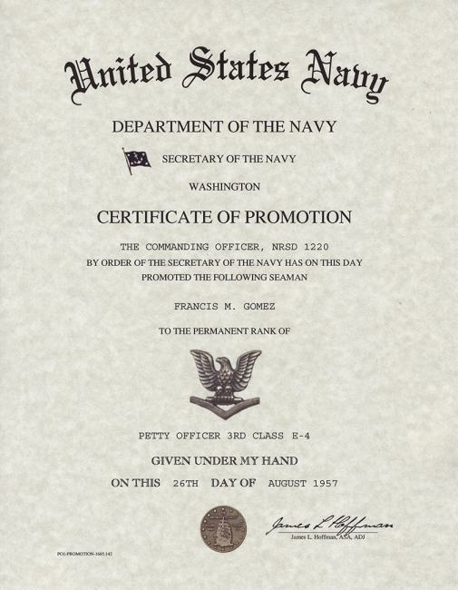 How High Can I Rank In Navy? Promotion Tips