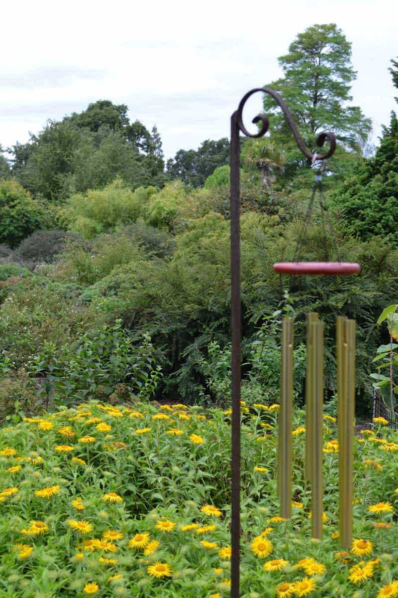 How Impatiens Deter Deer? Garden Protection Tips