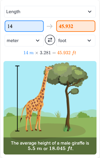 How Many Feet Is 14 Meters