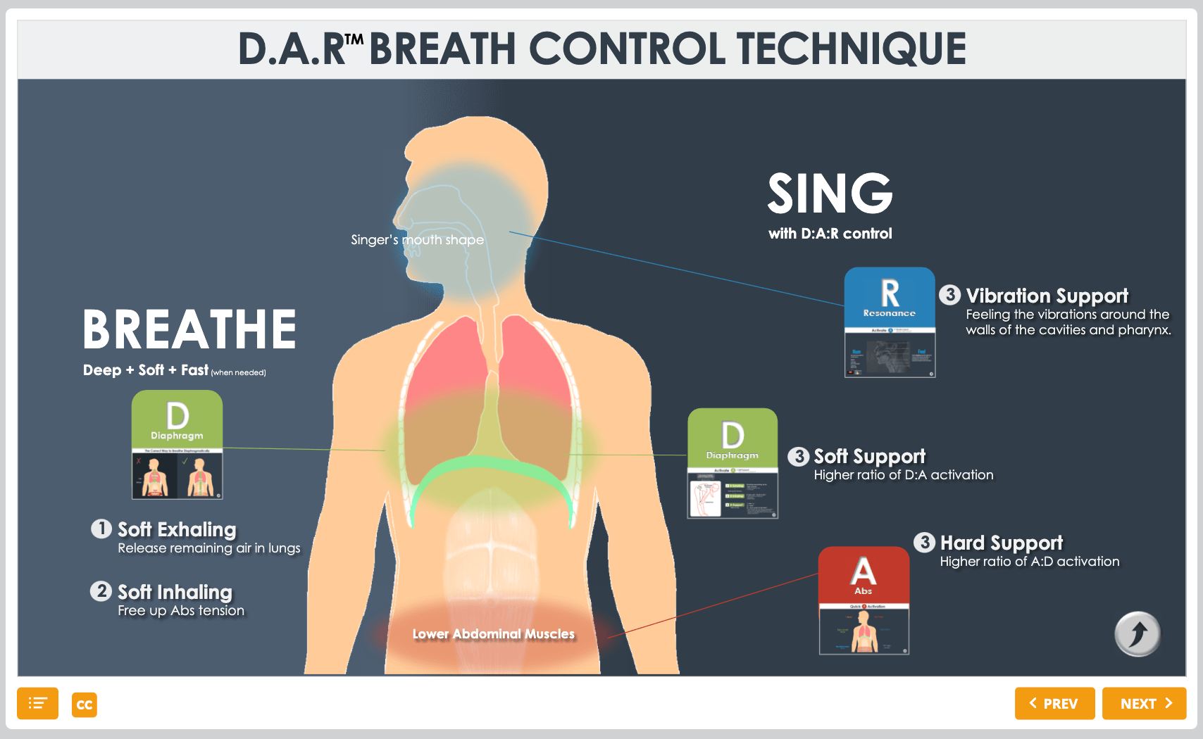 How To Breathe Using Your Diaphragm Dr Tom Nelson How To Breathe Using Your Diaphragm Dr Tom Nelson
