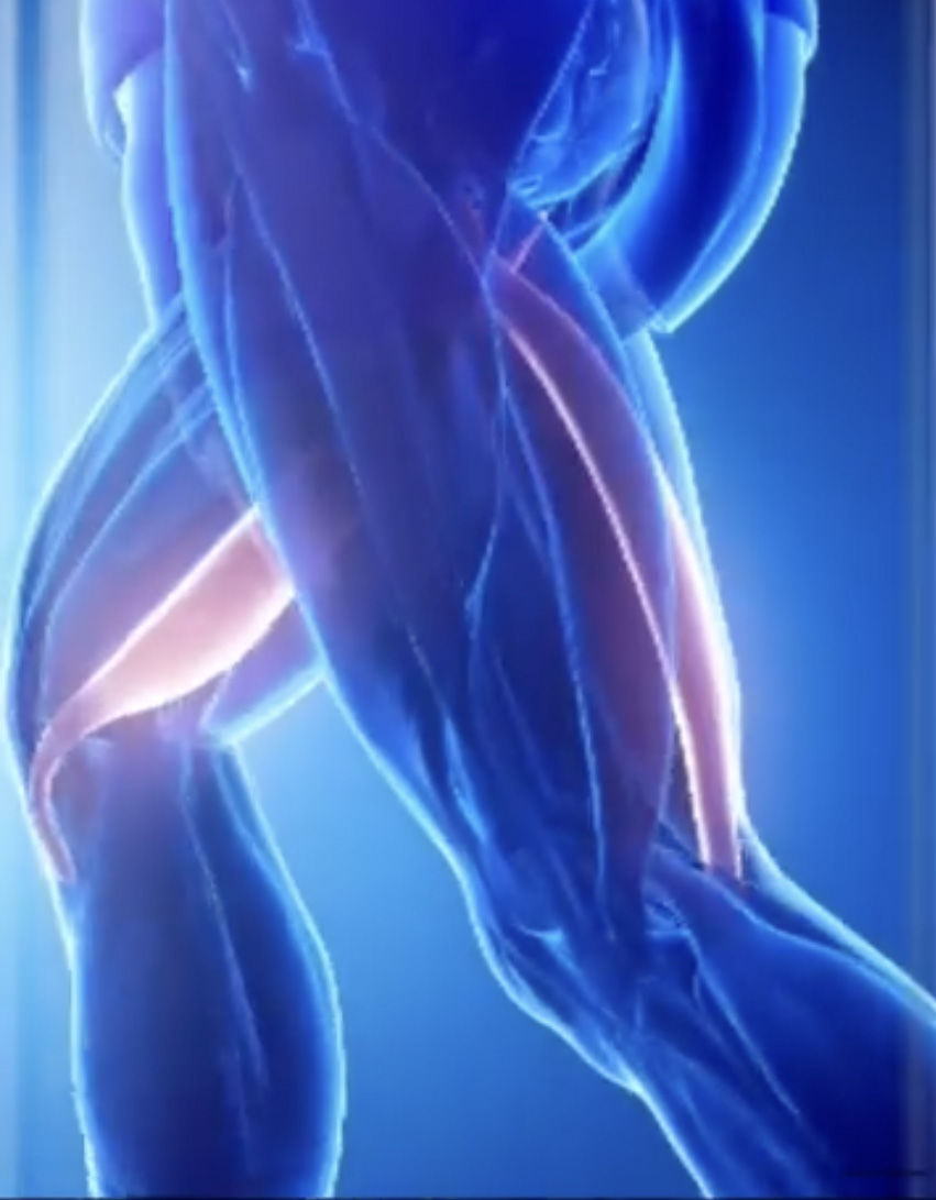 How To Cure Hamstring Cramps