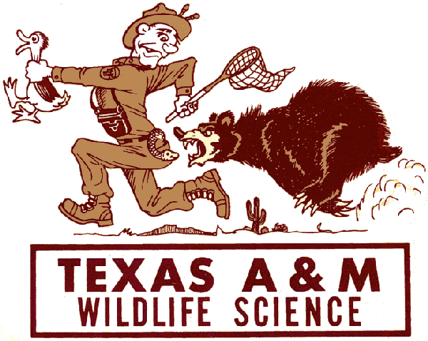 How To Get Tamu Wildlife Job? Application Tips