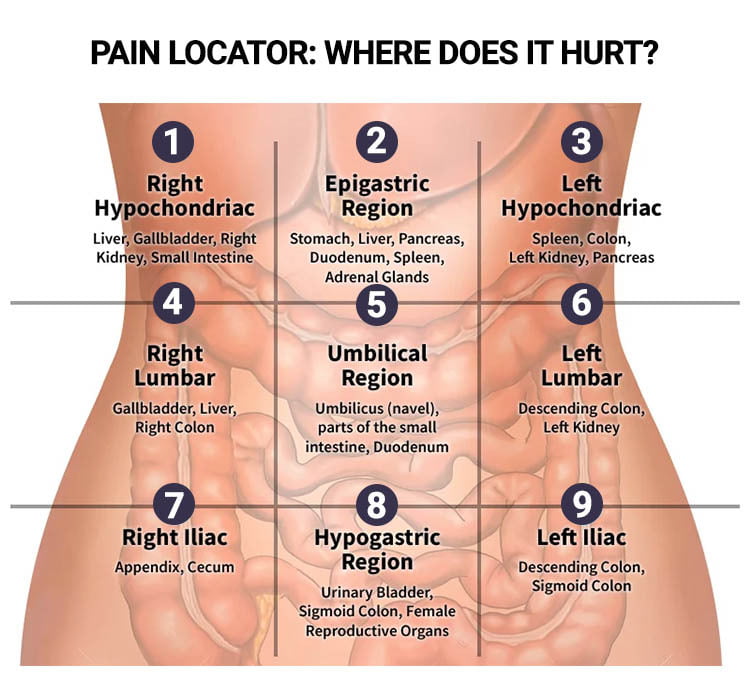 How To Identify Quadrant Of Pancreas Issues? Symptom Checker How To Identify Quadrant Of Pancreas Issues? Symptom Checker