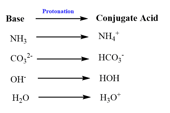 Hso4 Conjugate Acid Explained