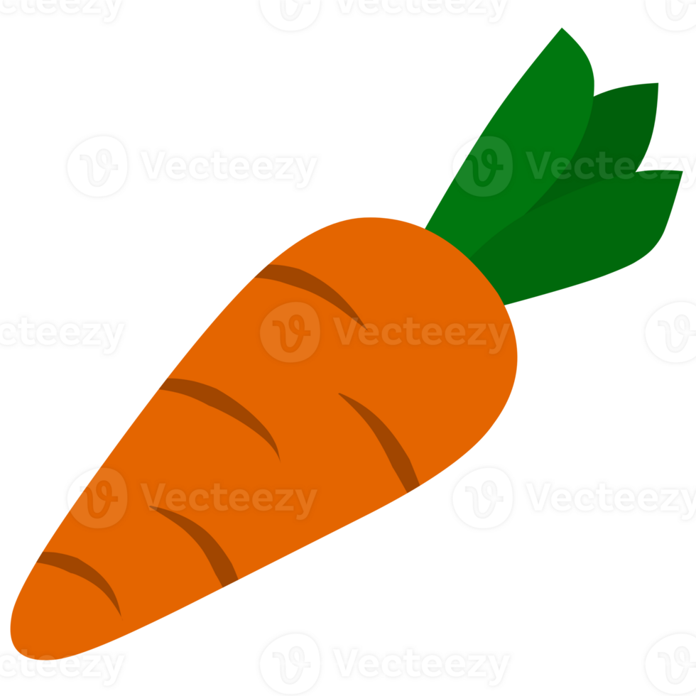 Is A Carrot A Fruit: Get The Answer