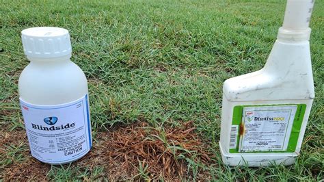 Landscape Weed Killer: Kills Weeds Fast