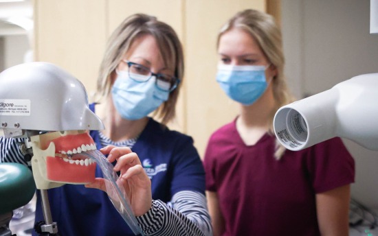 Minnesota Dental Hygiene Minnesota Dental Hygiene