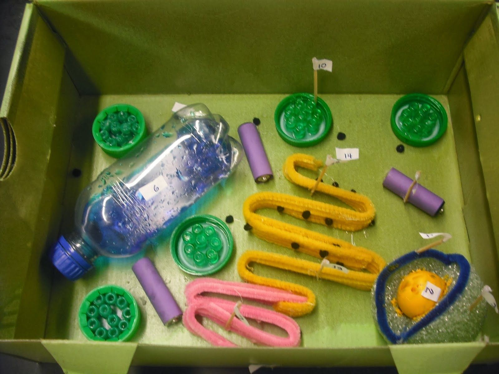 Model Of 3D Plant Cell
