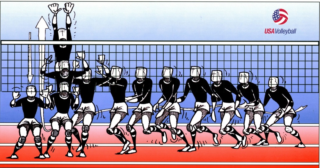 Naked Volleyball 101: Ultimate Player Handbook