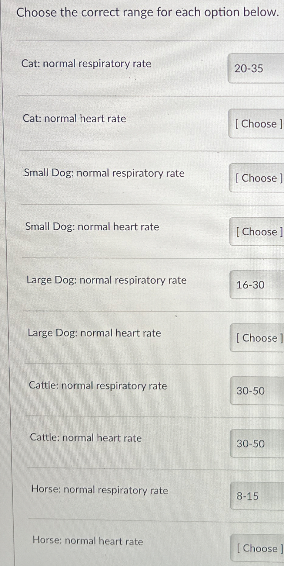 Normal Respiratory Rate Of Cat