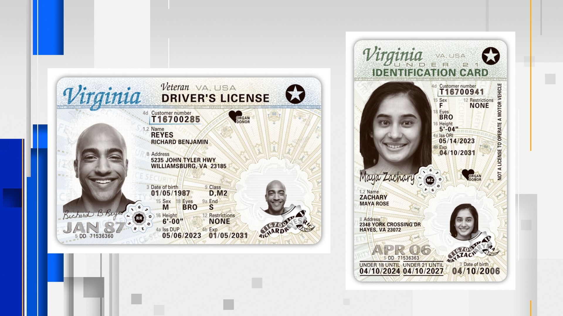 Nyc Dmv Id Card