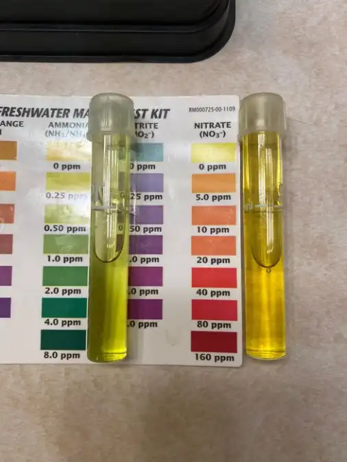 Ph Levels For Saltwater Aquarium Ph Levels For Saltwater Aquarium