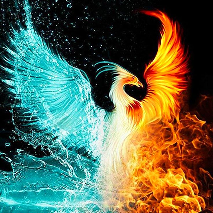 Phoenix Phone Numbers