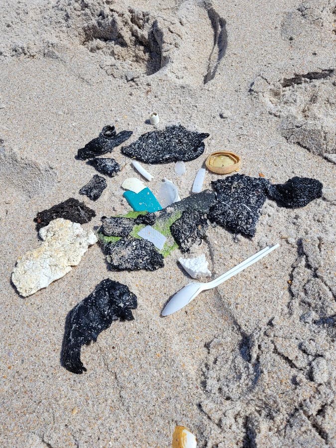 Playalinda Beach Titusville Fl