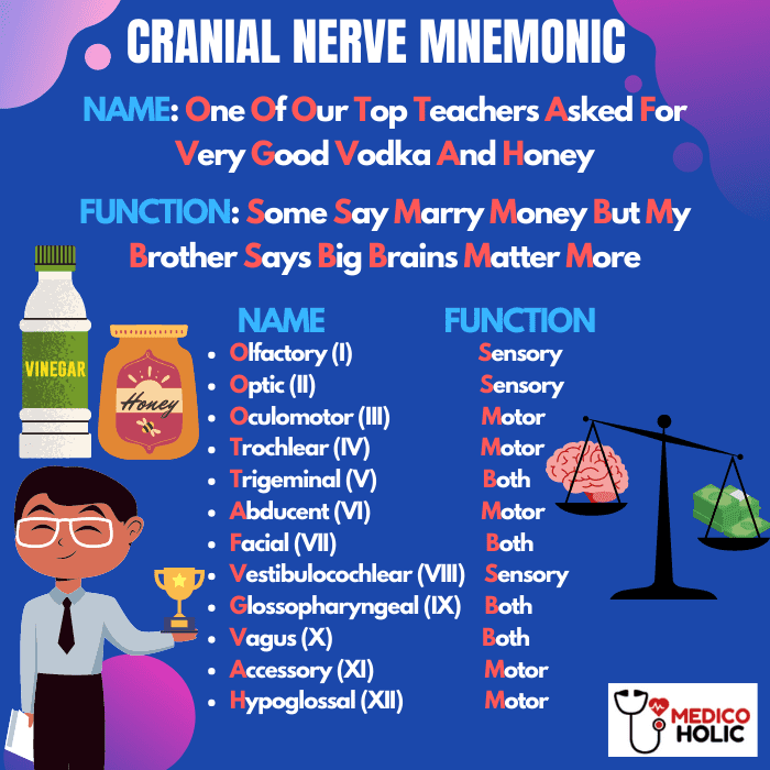 Saying To Remember Cranial Nerves