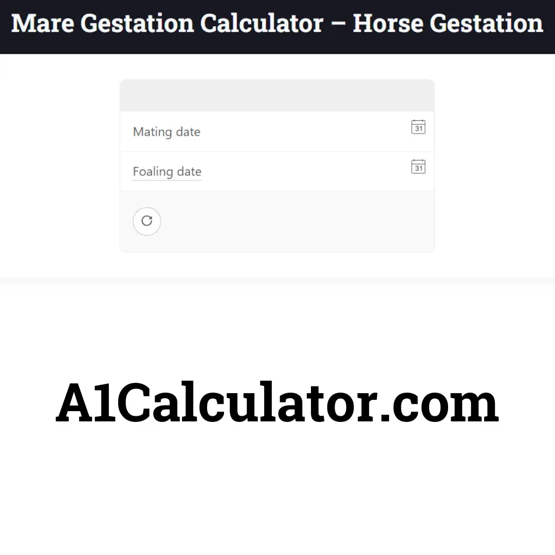 The Journey Of Horse Pregnancy Understanding Mare Gestation Stages