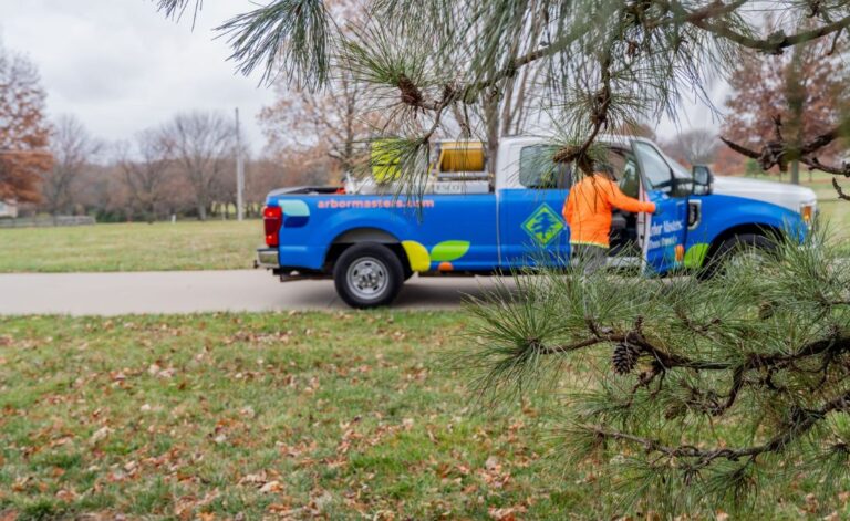 Webworm Infestations How To Protect Your Midwest Trees Arbor Masters Webworm Infestations How To Protect Your Midwest Trees Arbor Masters